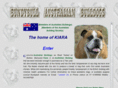 bundybullaustralianbulldogs.com