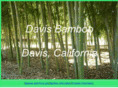 davisbamboo.com