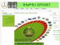 effortgroup.net