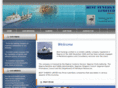 bestsynergyltd.com