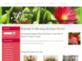 bloomingboutiqueflorist.com