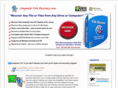 computerfilerecovery.com