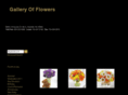 galleryofflowersnc.com