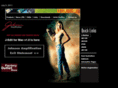 johnson-amp.com