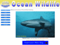 oceanwildlife.com