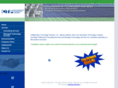 collaborativetechnologypartners.com