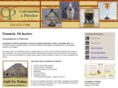 cpauction.net