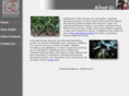 exporam.com