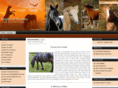 hopeforhorses.org