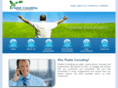 pludekconsulting.com
