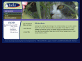 tailsct.org