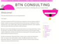 btnconsulting.net