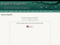 ragalonragdolls.com