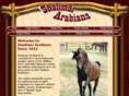 shalimararabians.com