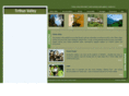 tirthanvalley.com