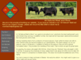 allnaturalmeatandmore.com