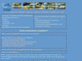 conceptstomarket.com