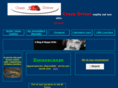 crazy-driver.com