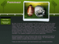 femmesonfootball.com