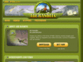insoftagames.com