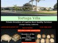 tortugavilla.com