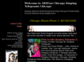 all4funchicago.com