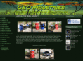 geoindustries.net