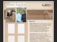 olsenequine.com