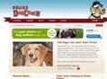 onlinedogcoach.com