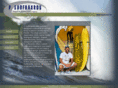 psurfboards.com
