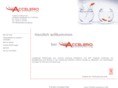accelero-consulting.com