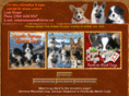 companionpuppies.com