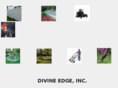 divineedge.com