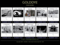 golddye.com