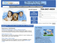gooxymagic.com