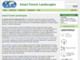 intactforests.org