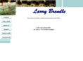 larrybrendle.com