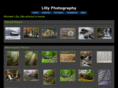 lillyphotographywv.com
