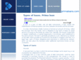 primaloans.com