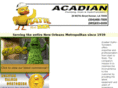 acadianhydro.com