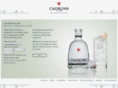 caorunngin.com