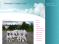 crickethelsinki.com