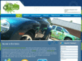 ecogreenmobiledetailing.com