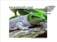geckotechit.com