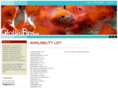 globalfinswpg.com