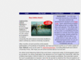 syxinxing.com
