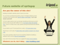 thesimmonsatspring.com