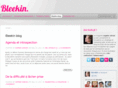 bleekin.com