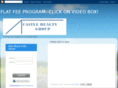 charlottecastlegroup.com