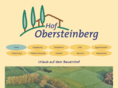 obersteinberg.de